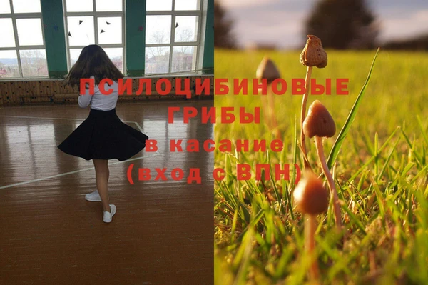 наркотики Алексеевка