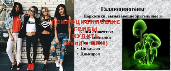 a pvp Зерноград