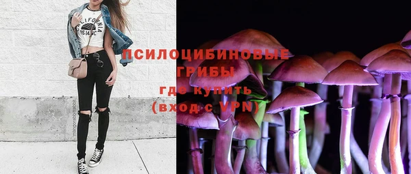 ГАЛЛЮЦИНОГЕННЫЕ ГРИБЫ Алексин