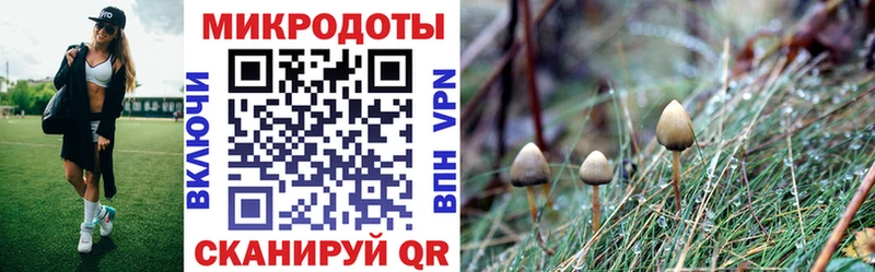 Галлюциногенные грибы Cubensis  Октябрьский 